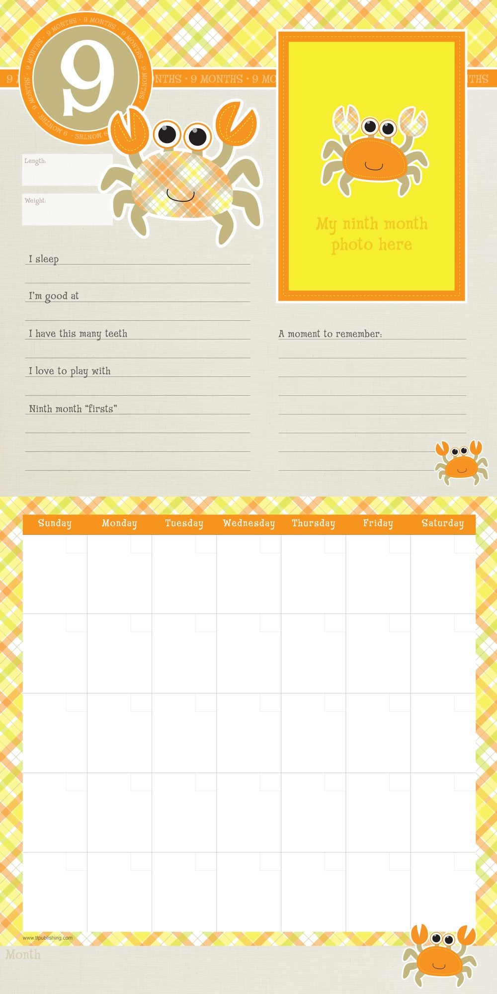 Babys First Year Plaid NonDated Wall Calendar