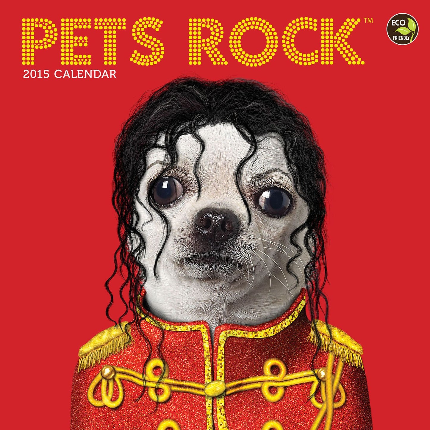 Pets Rock 2015 Calendar