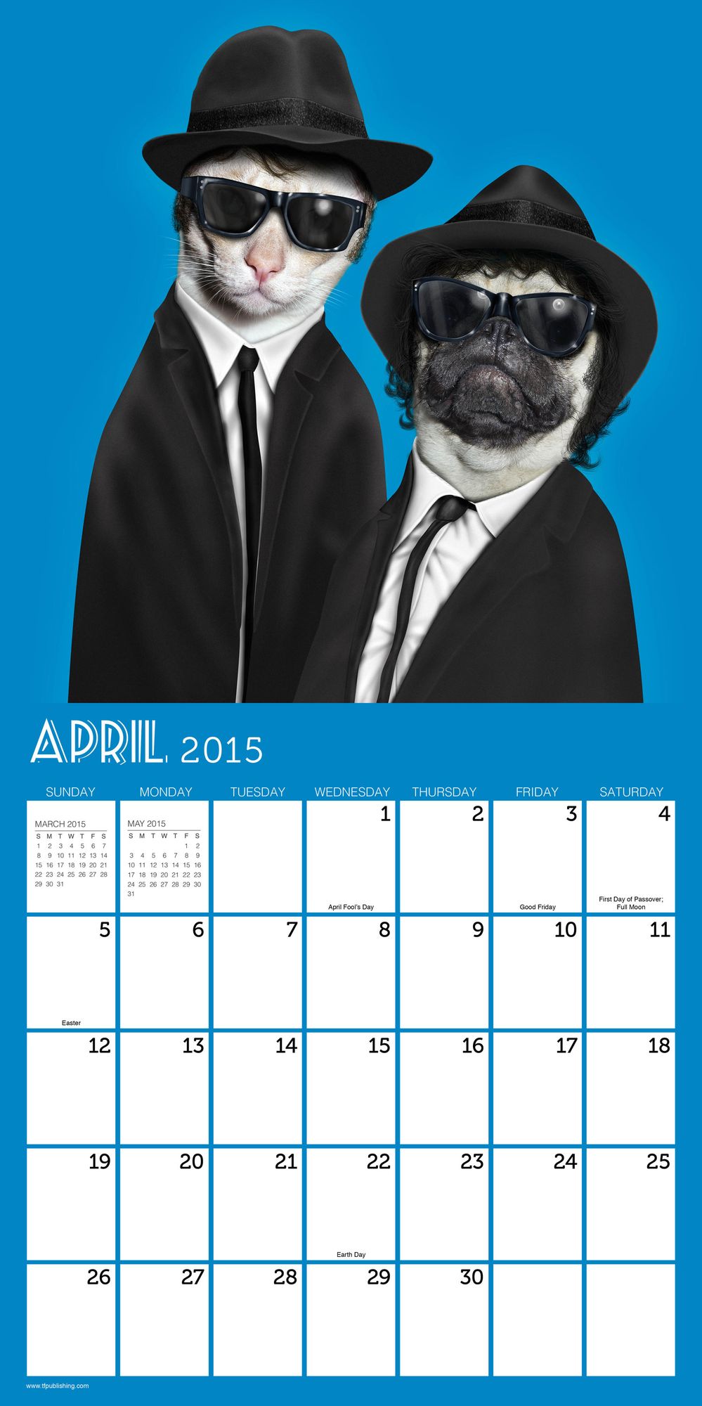 Pets Rock 2015 Calendar