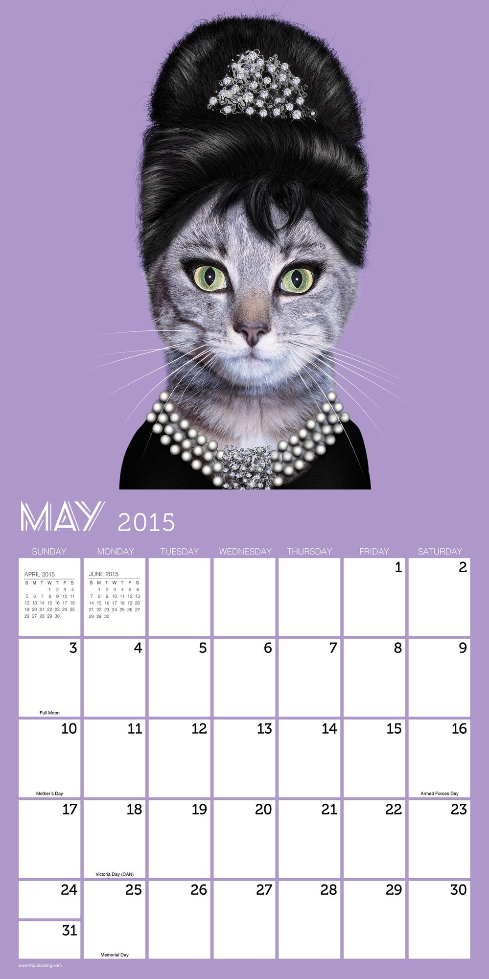 Pets Rock 2015 Calendar