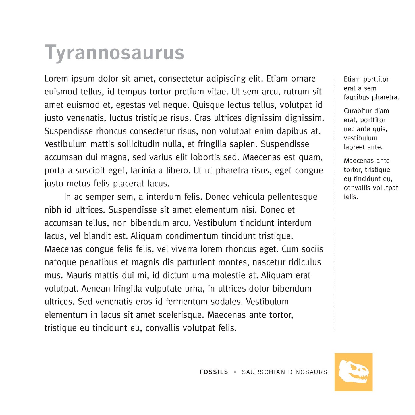 American Museum of Natural History Card Deck: 100 Treasures from the Hall of Science and World Culture