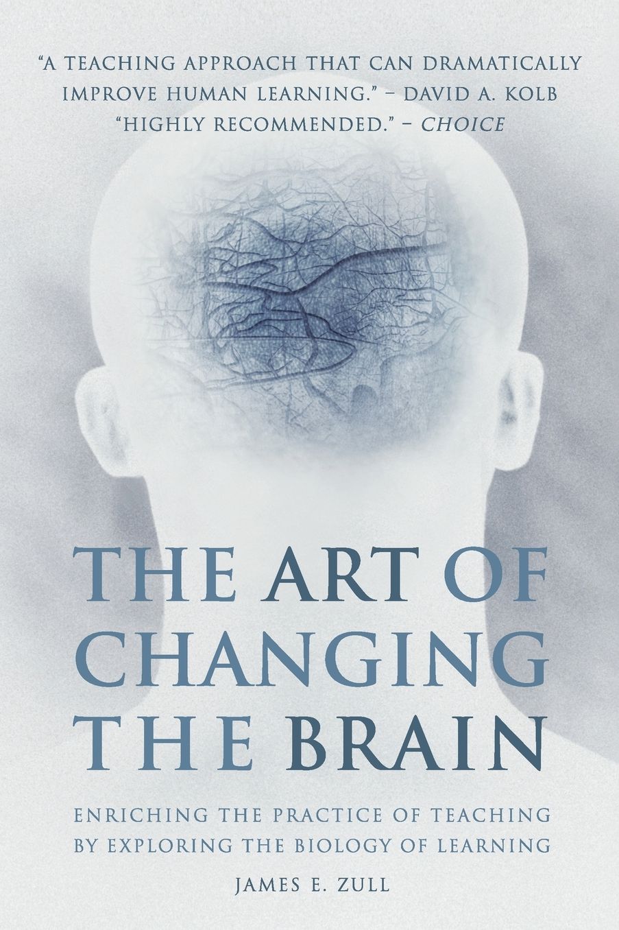 The Art of Changing the Brain: Enriching the Practice of Teaching by Exploring the Biology of Learning