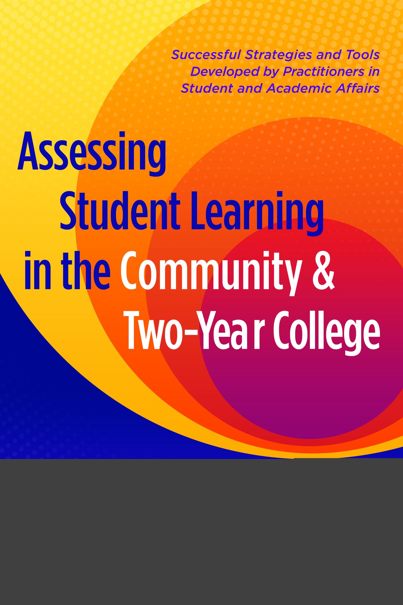 Assessing Student Learning in the Community and Two-Year College: Successful Strategies and Tools Developed by Practitioners in Student and Academic Affairs