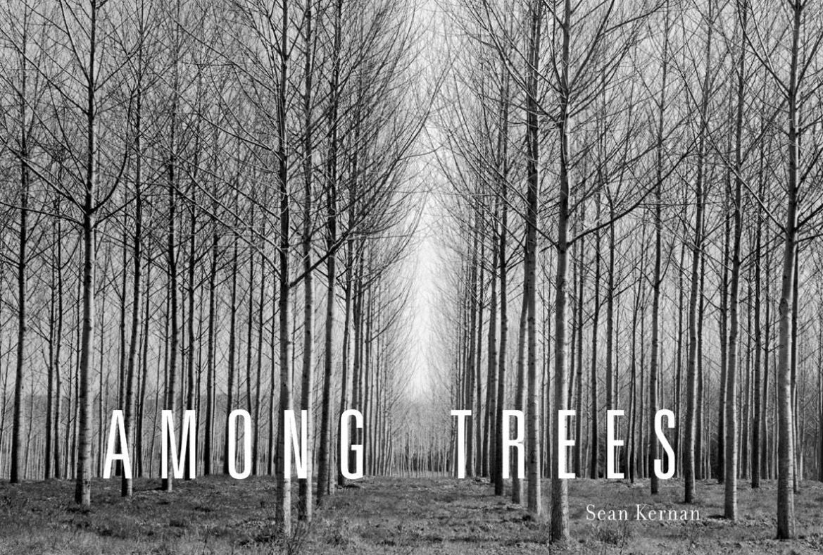 Among Trees