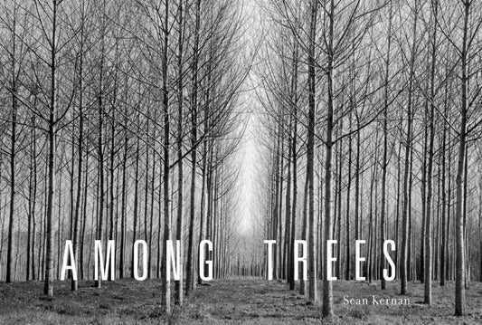 Among Trees