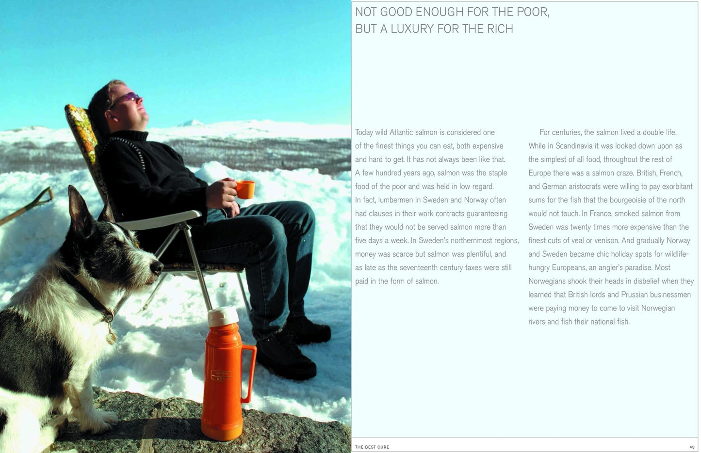 Kitchen of Light: New Scandanavian Cooking with Andreas Viestad