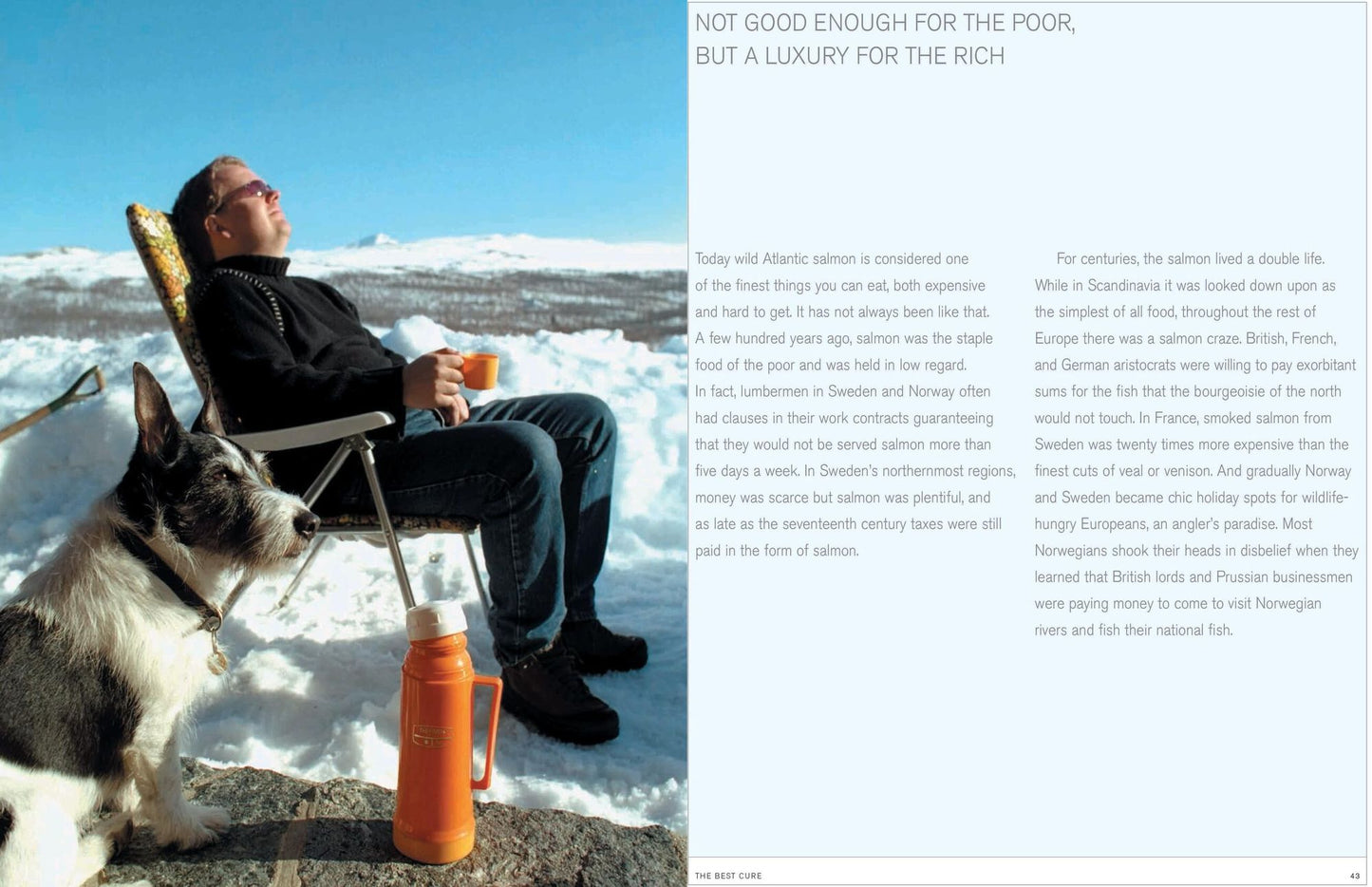 Kitchen of Light: New Scandanavian Cooking with Andreas Viestad