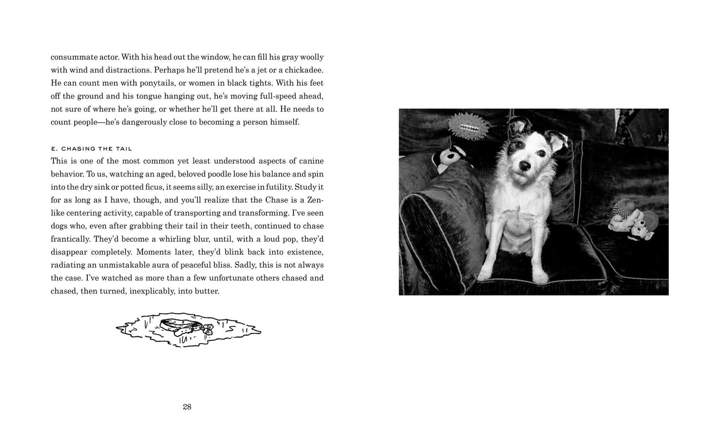 Dogs We Love: With Jane Smiley, Edward Albee, Ann Beattie, Armistead Maupin, and Fourteen Other Dog People