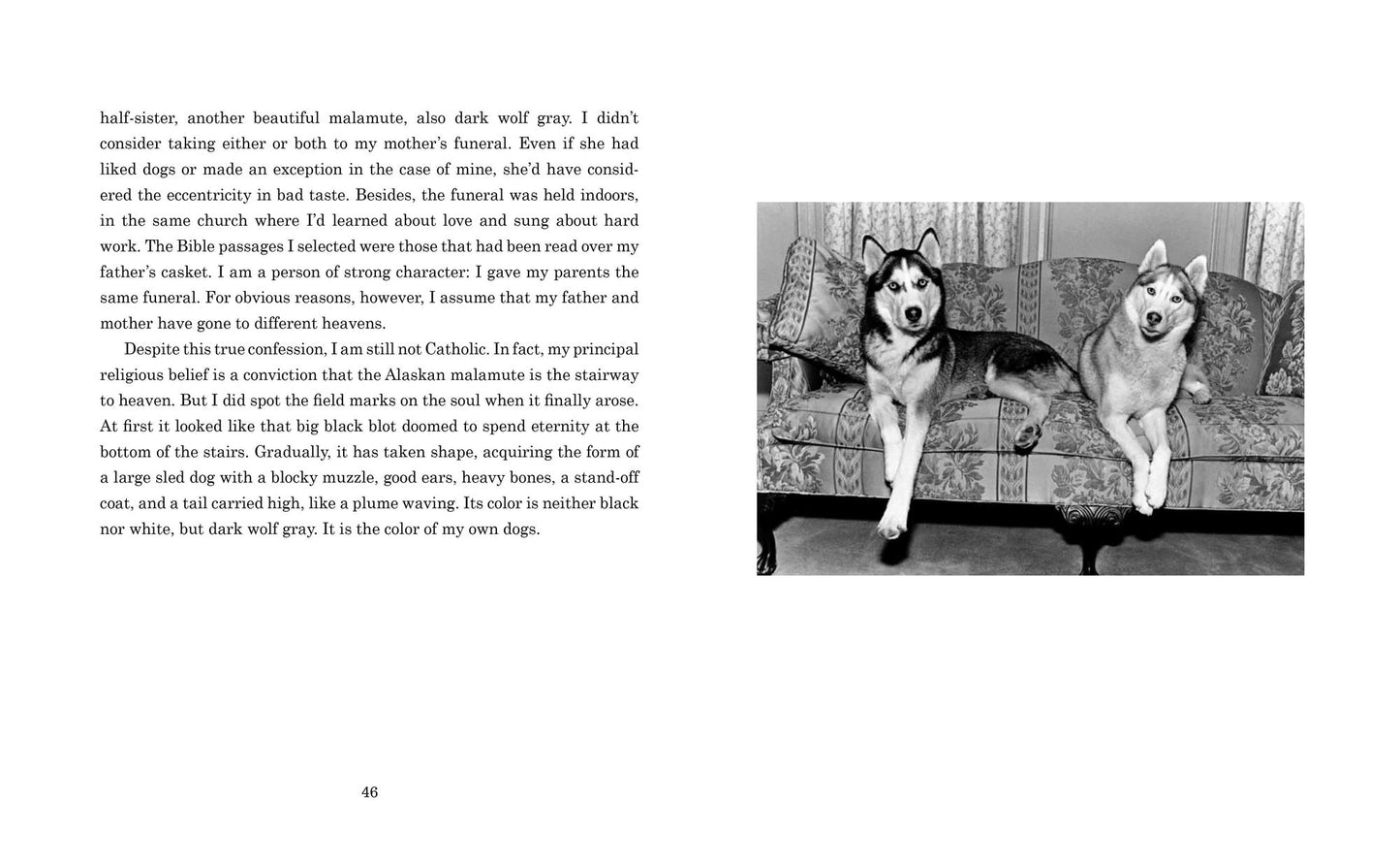 Dogs We Love: With Jane Smiley, Edward Albee, Ann Beattie, Armistead Maupin, and Fourteen Other Dog People