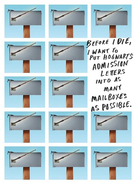 What Do You Want to Do Before You Die?