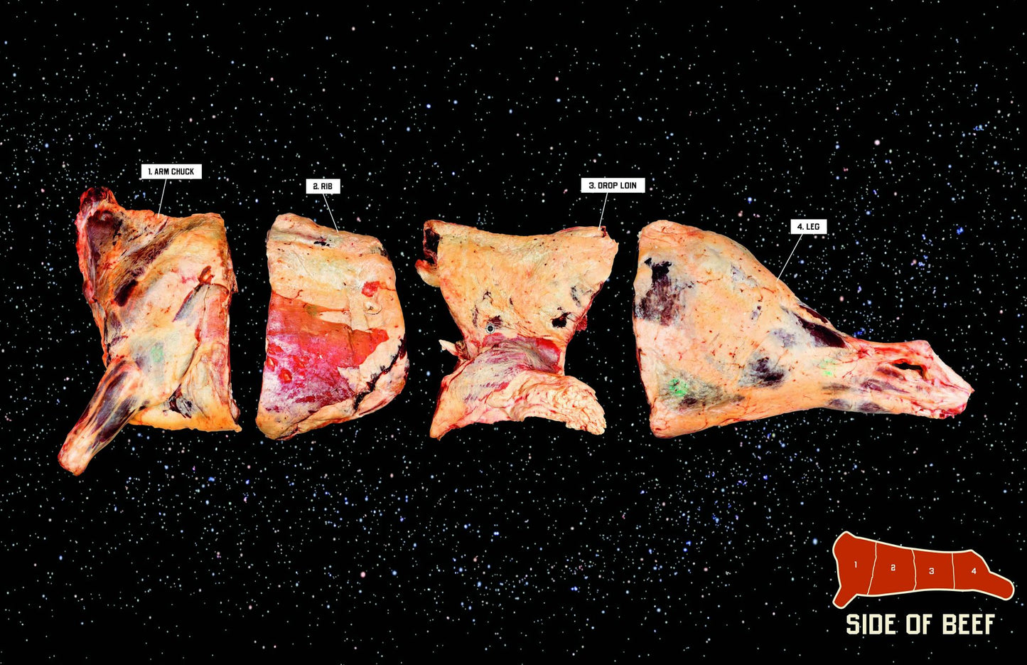 The Meat Hook Meat Book: Buy, Butcher, and Cook Your Way to Better Meat