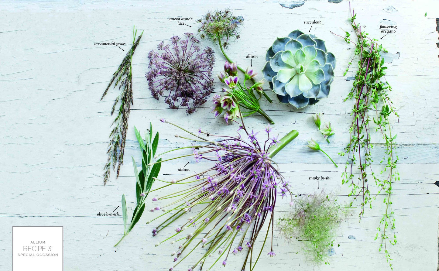 The Flower Recipe Book
