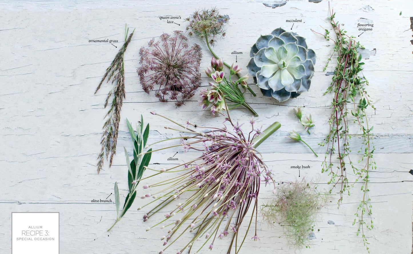 The Flower Recipe Book
