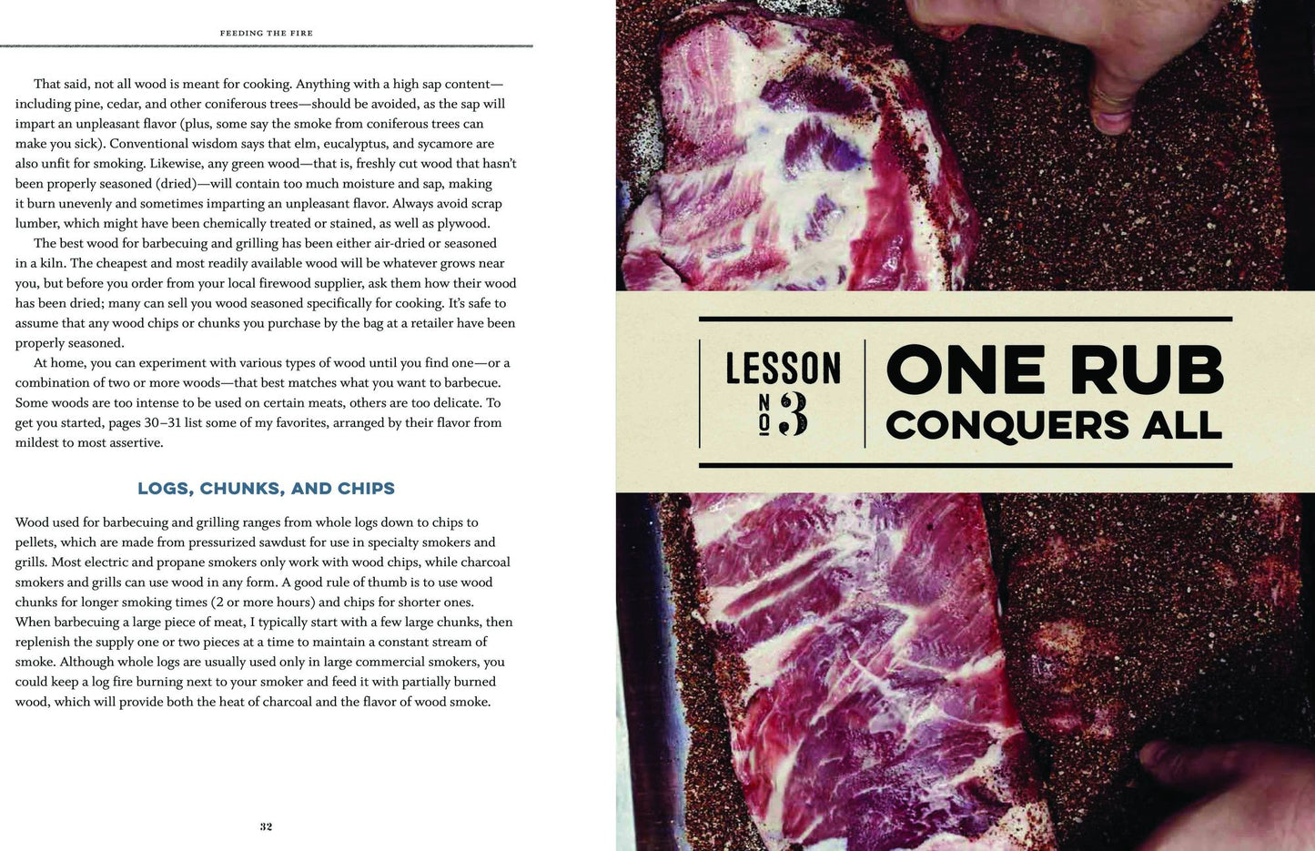 Feeding the Fire: Recipes and Strategies for Better Barbecue and Grilling