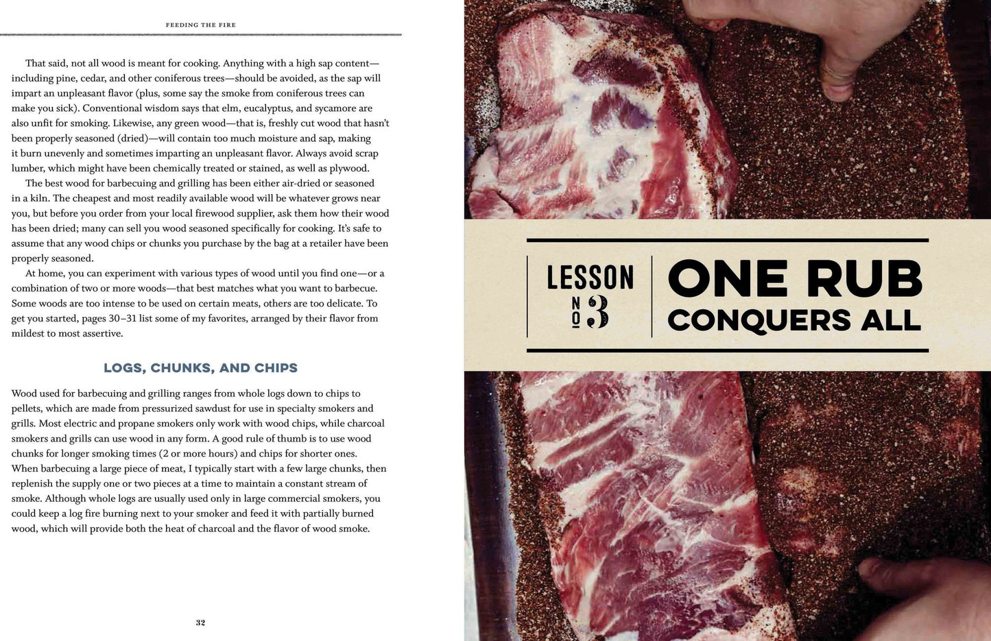 Feeding the Fire: Recipes and Strategies for Better Barbecue and Grilling