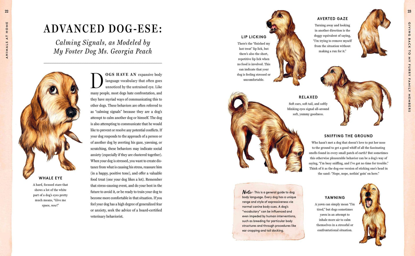 Do Unto Animals: A Friendly Guide to How Animals Live, and How We Can Make Their Lives Better