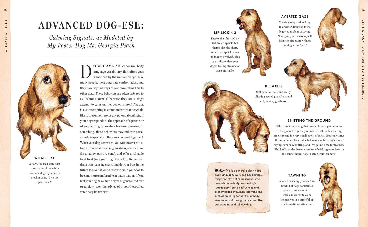 Do Unto Animals: A Friendly Guide to How Animals Live, and How We Can Make Their Lives Better