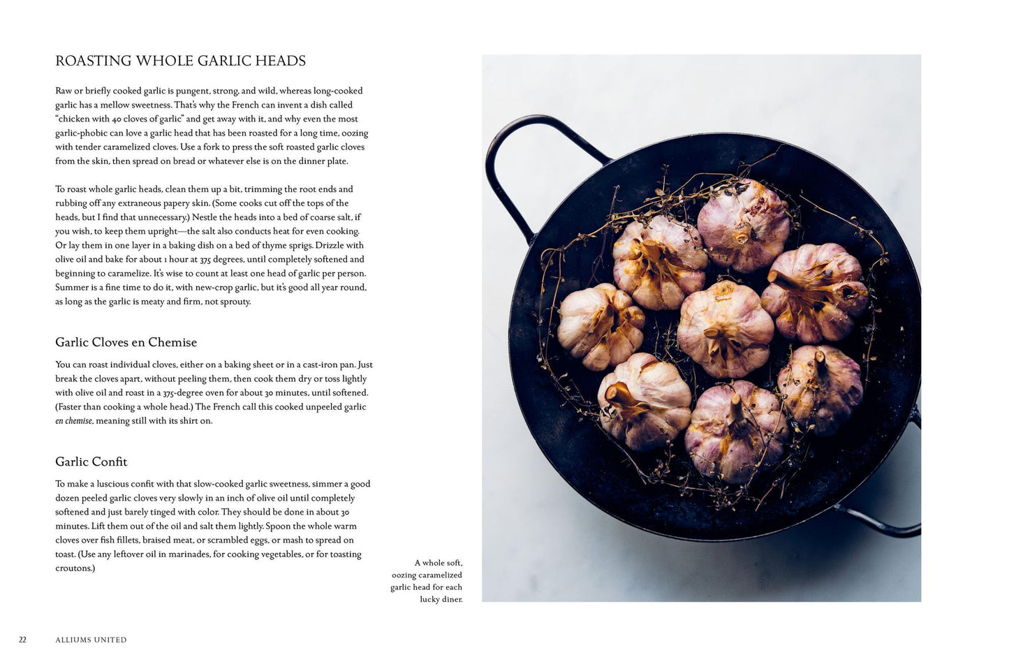David Tanis Market Cooking: Recipes and Revelations, Ingredient by Ingredient