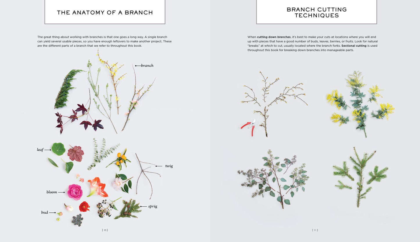 Branches & Blooms: A Step-by-Step Guide to Creating Magical Centerpieces, Wreaths, Garlands, and Other Unexpected Arrangements
