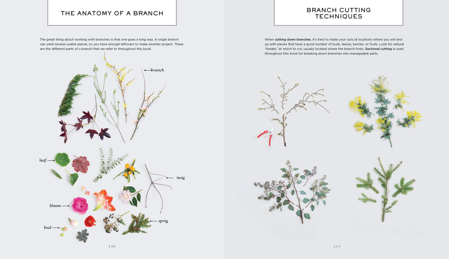 Branches & Blooms: A Step-by-Step Guide to Creating Magical Centerpieces, Wreaths, Garlands, and Other Unexpected Arrangements