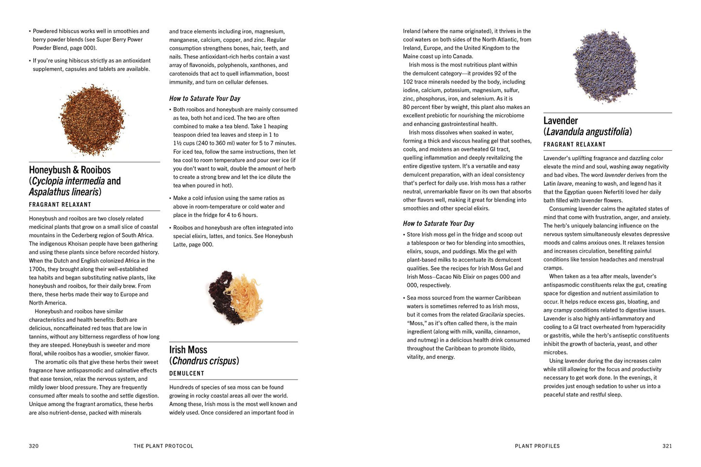 The Plant Medicine Protocol: Unlocking the Power of Plants for Optimal Health and Longevity