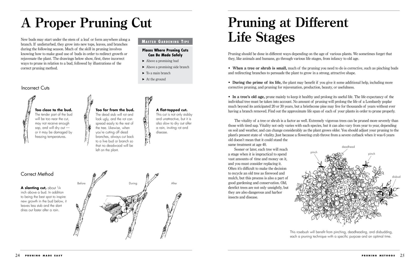 Pruning Made Easy: A Gardener's Visual Guide to When and How to Prune Everything, from Flowers to Trees