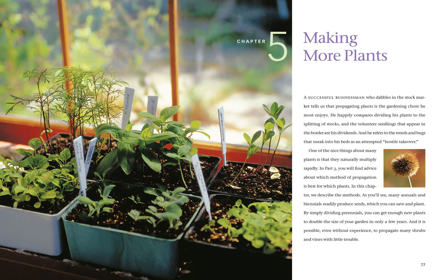 The Flower Gardener's Bible: A Complete Guide to Colorful Blooms All Season Long; 10th Anniversary Edition with a new foreword by Suzy Bales