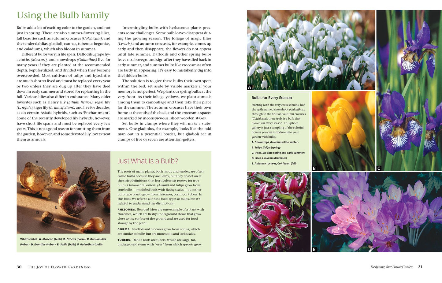 The Flower Gardener's Bible: A Complete Guide to Colorful Blooms All Season Long; 10th Anniversary Edition with a new foreword by Suzy Bales
