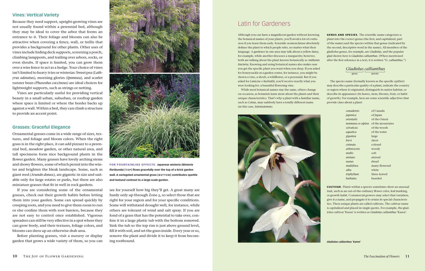 The Flower Gardener's Bible: A Complete Guide to Colorful Blooms All Season Long; 10th Anniversary Edition with a new foreword by Suzy Bales