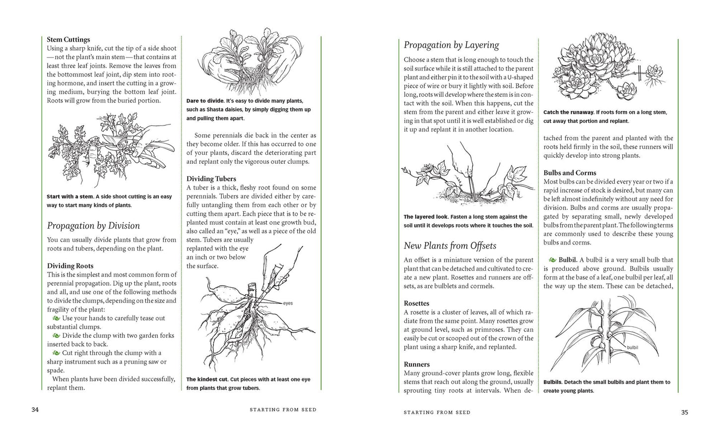 The Gardeners A - Z Guide to Growing Flowers from Seed to Bloom