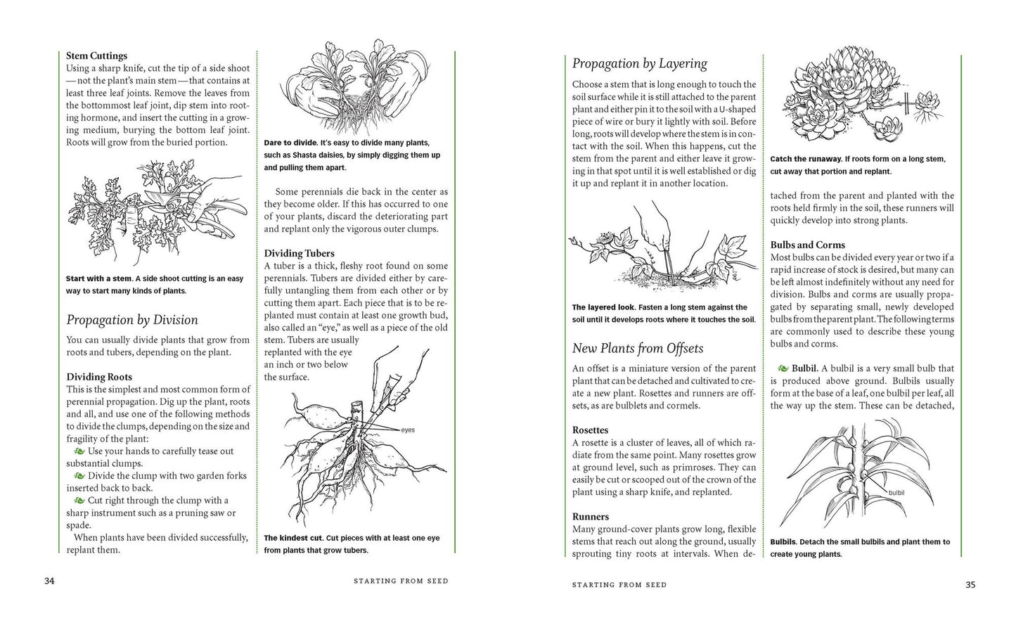 The Gardeners A - Z Guide to Growing Flowers from Seed to Bloom