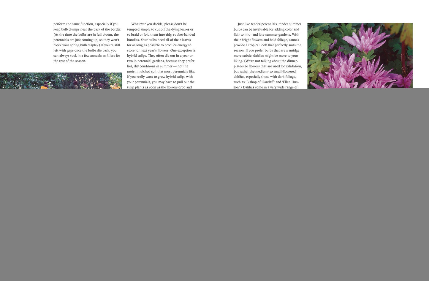 The Perennial Gardener's Design Primer