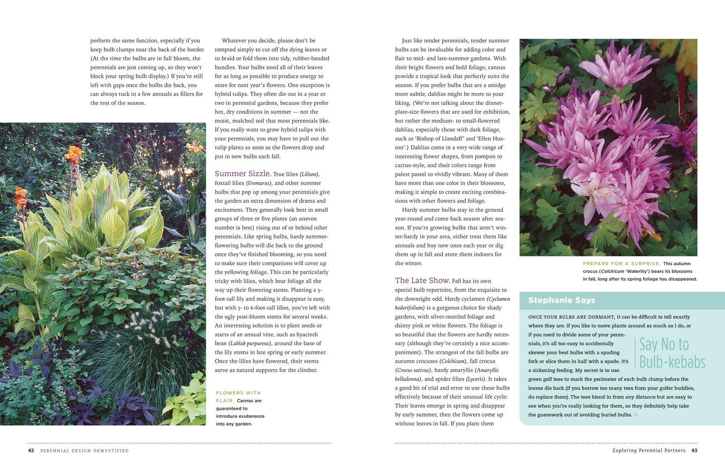 The Perennial Gardener's Design Primer