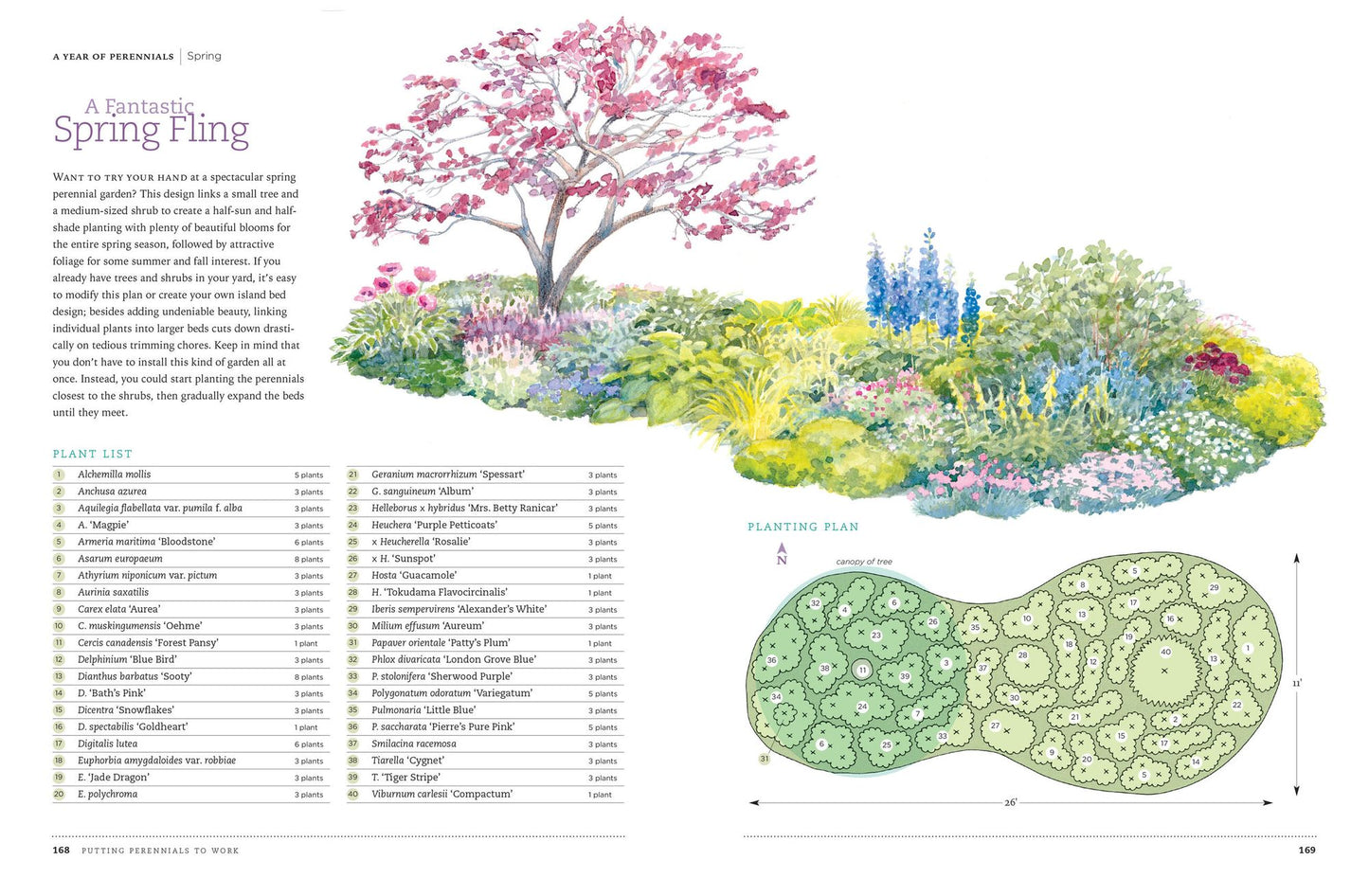 The Perennial Gardener's Design Primer