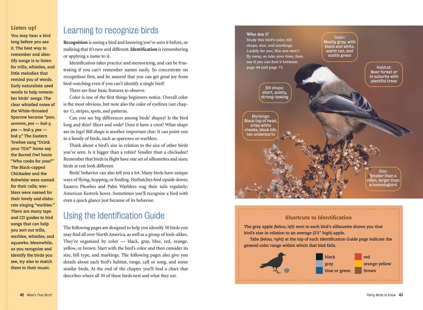 What's That Bird?: Getting to Know the Birds Around You