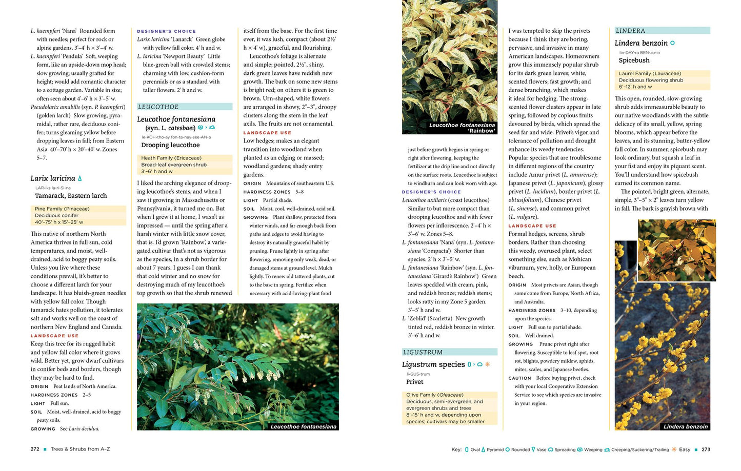 The Homeowner's Complete Tree & Shrub Handbook: The Essential Guide to Choosing, Planting, and Maintaining Perfect Landscape Plants