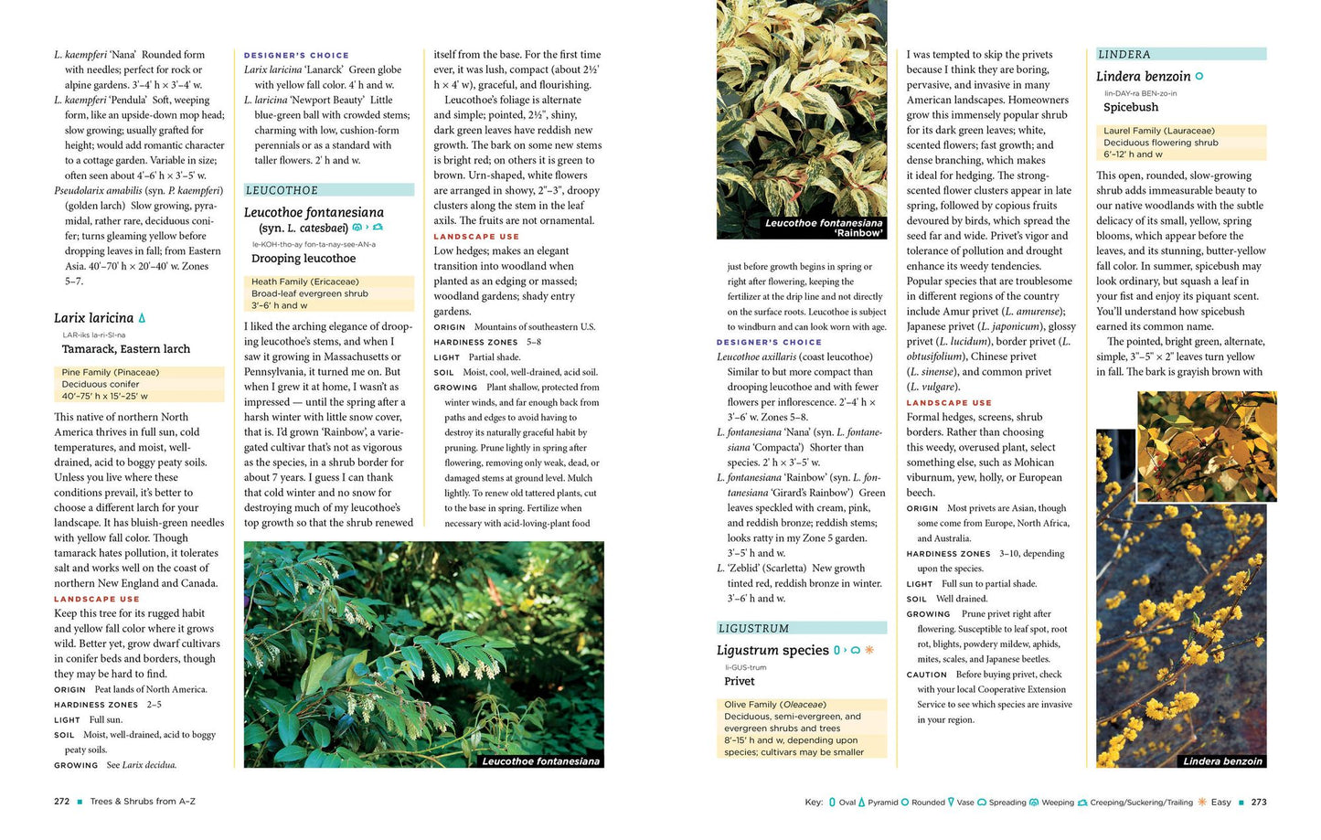 The Homeowner's Complete Tree & Shrub Handbook: The Essential Guide to Choosing, Planting, and Maintaining Perfect Landscape Plants