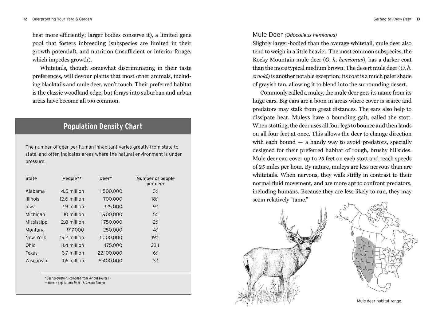 Deer Proofing Your Yard and Garden