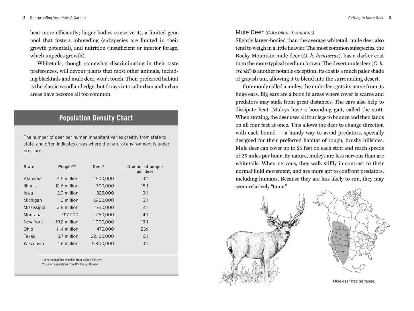 Deer Proofing Your Yard and Garden