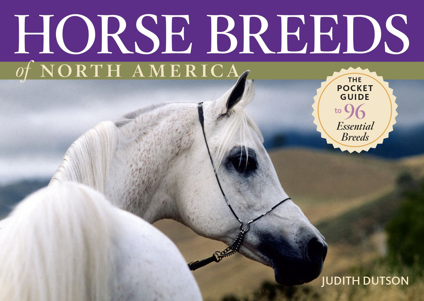 Horse Breeds of North America