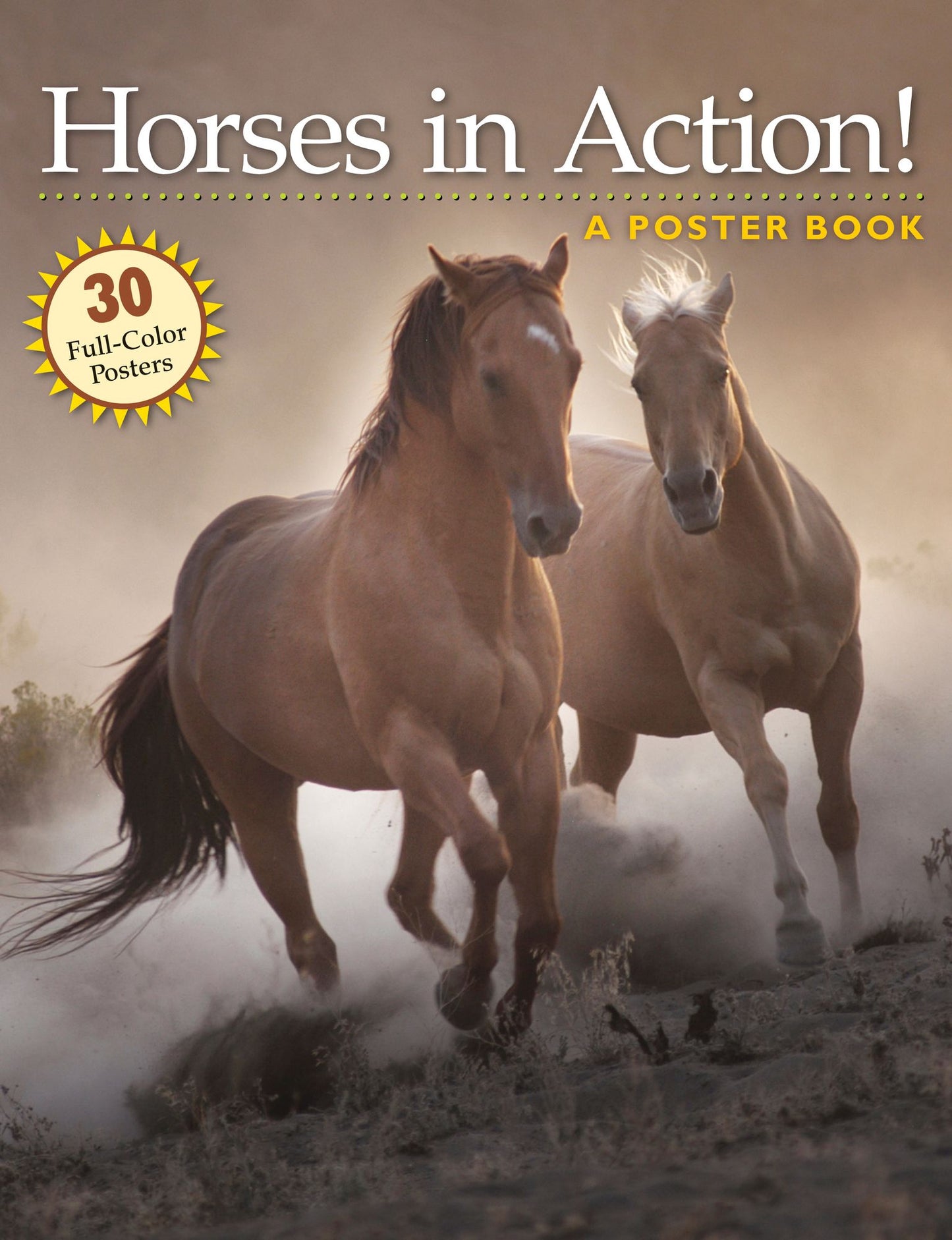 Horses in Action: A Poster Book