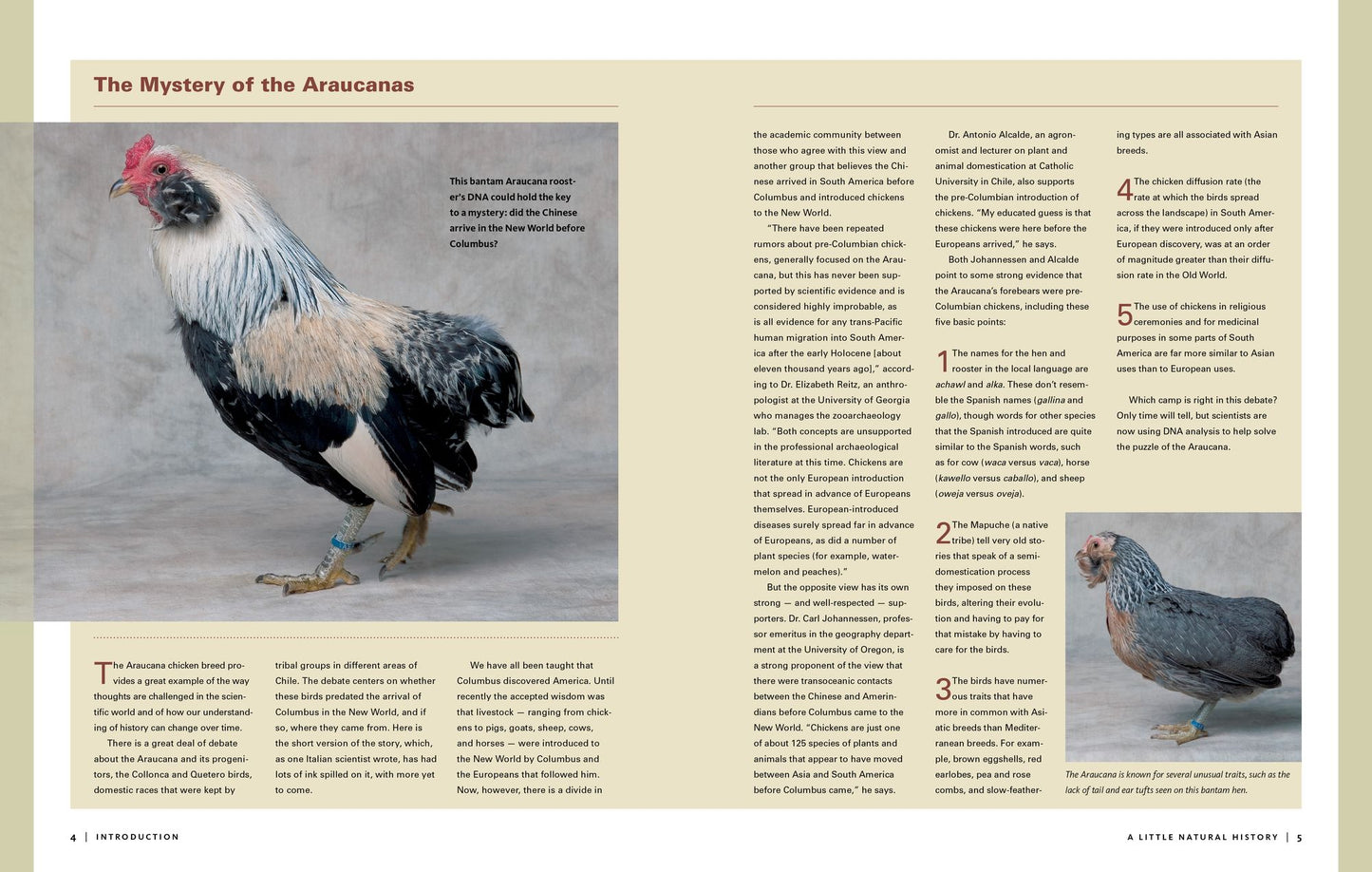Storey's Illustrated Guide to Poultry Breeds