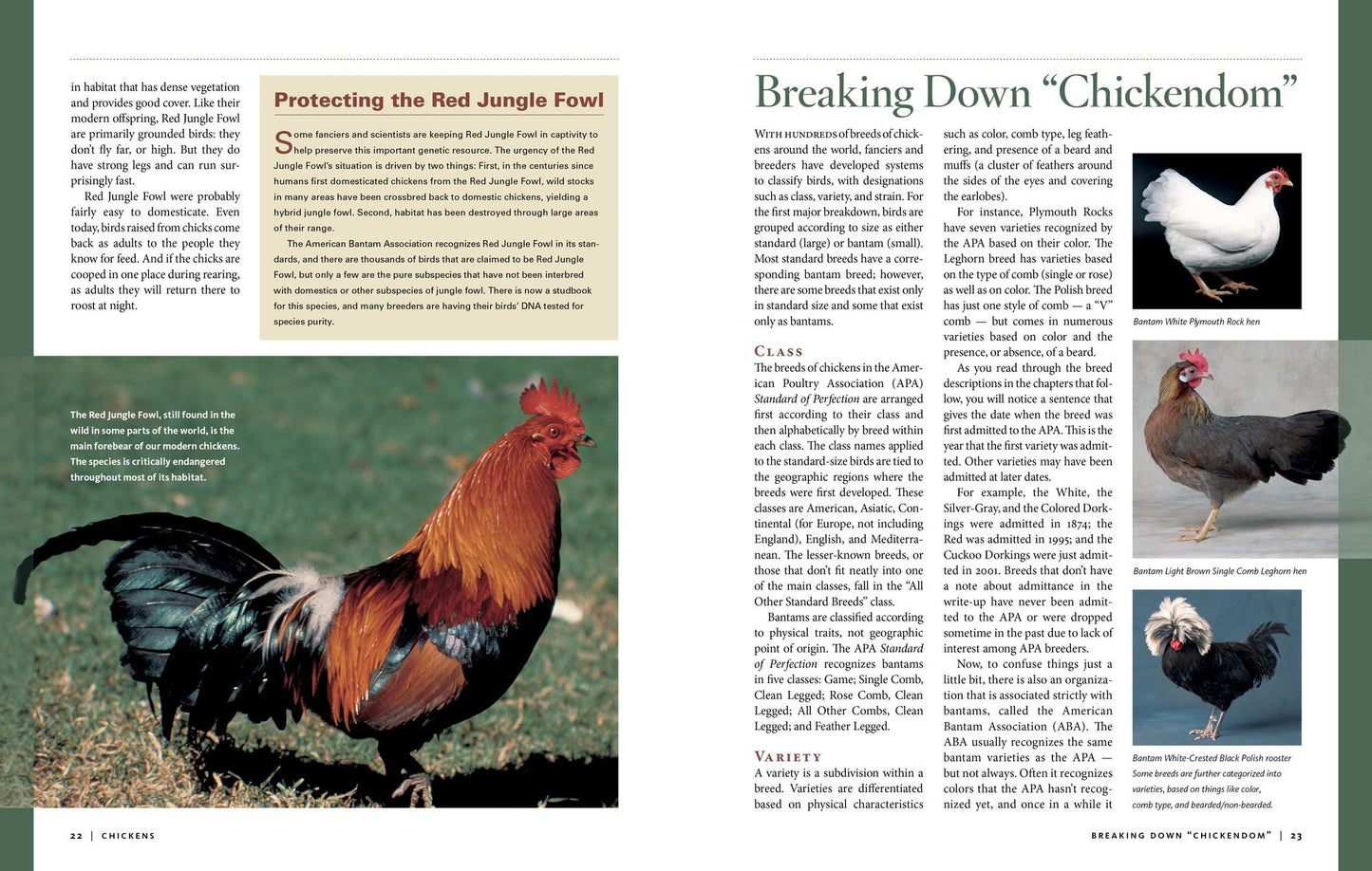 Storey's Illustrated Guide to Poultry Breeds