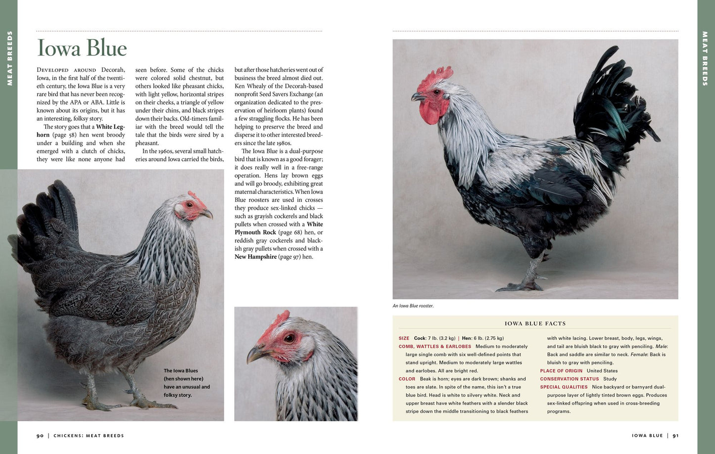 Storey's Illustrated Guide to Poultry Breeds