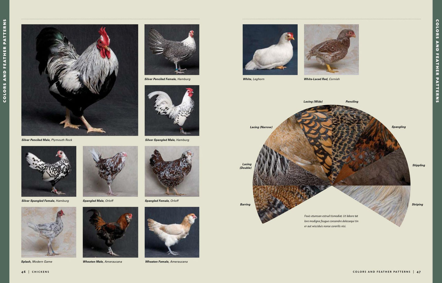Storey's Illustrated Guide to Poultry Breeds