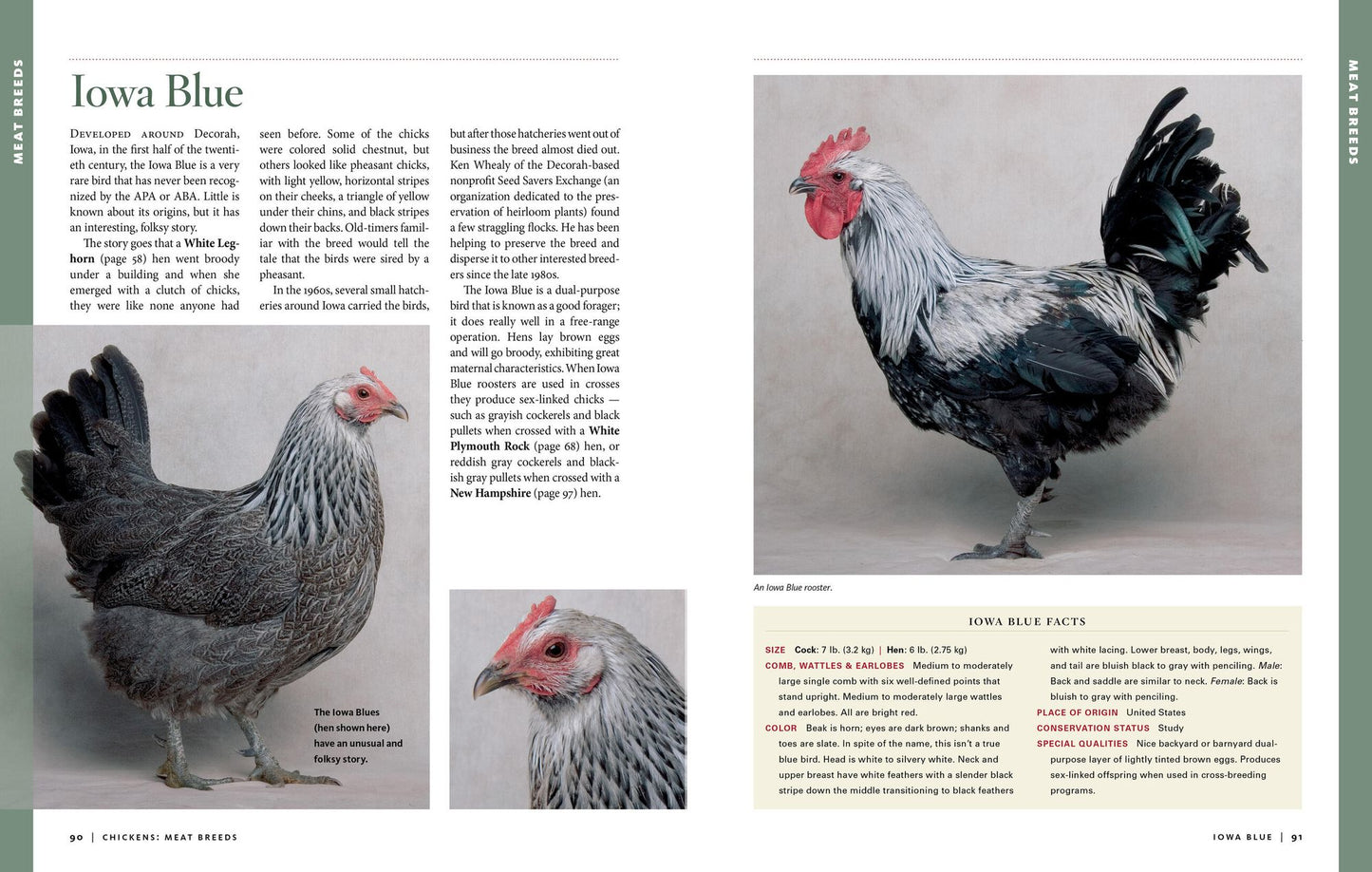 Storey's Illustrated Guide to Poultry Breeds