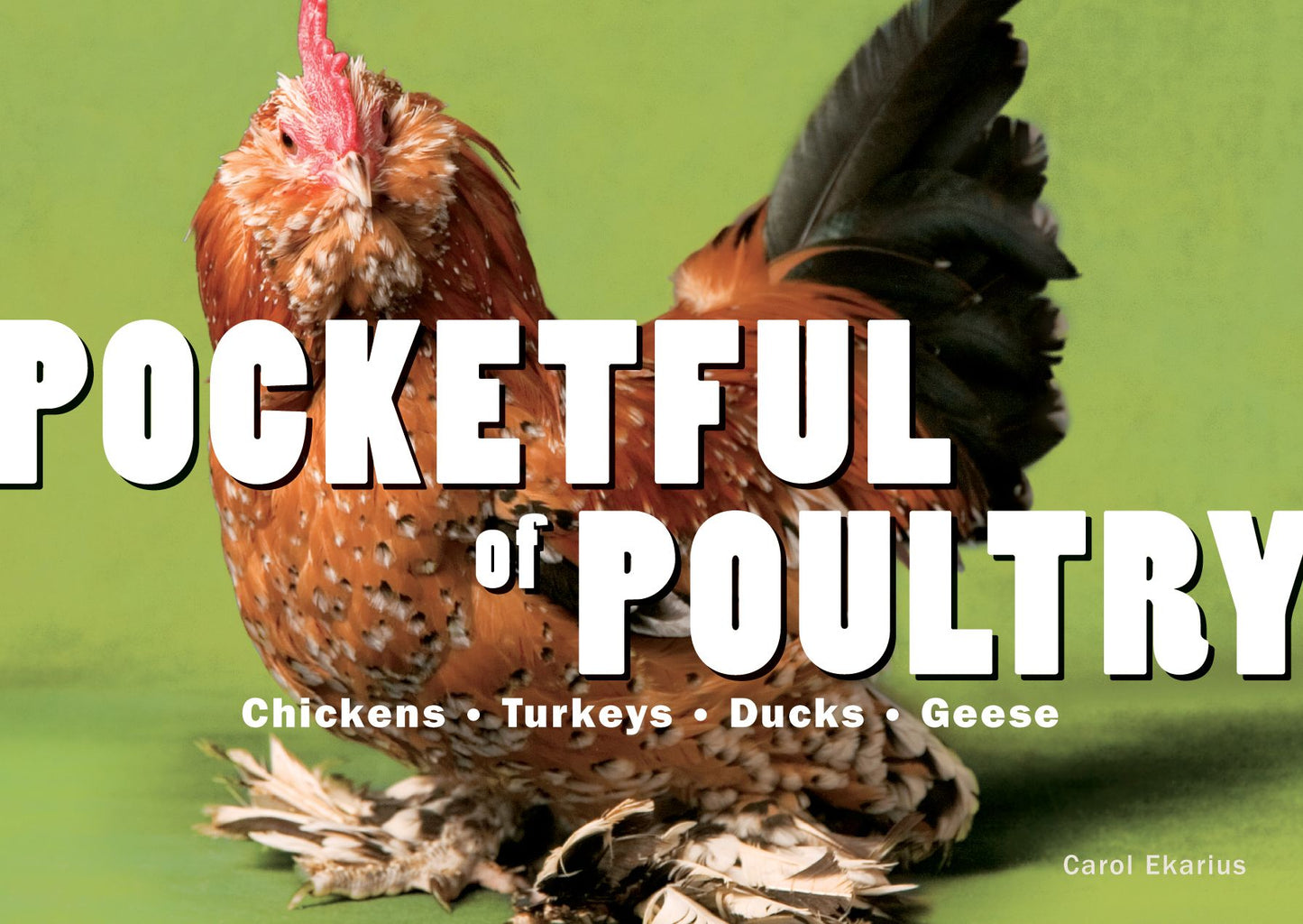 Pocketful of Poultry: Chickens, Turkeys, Ducks, Geese