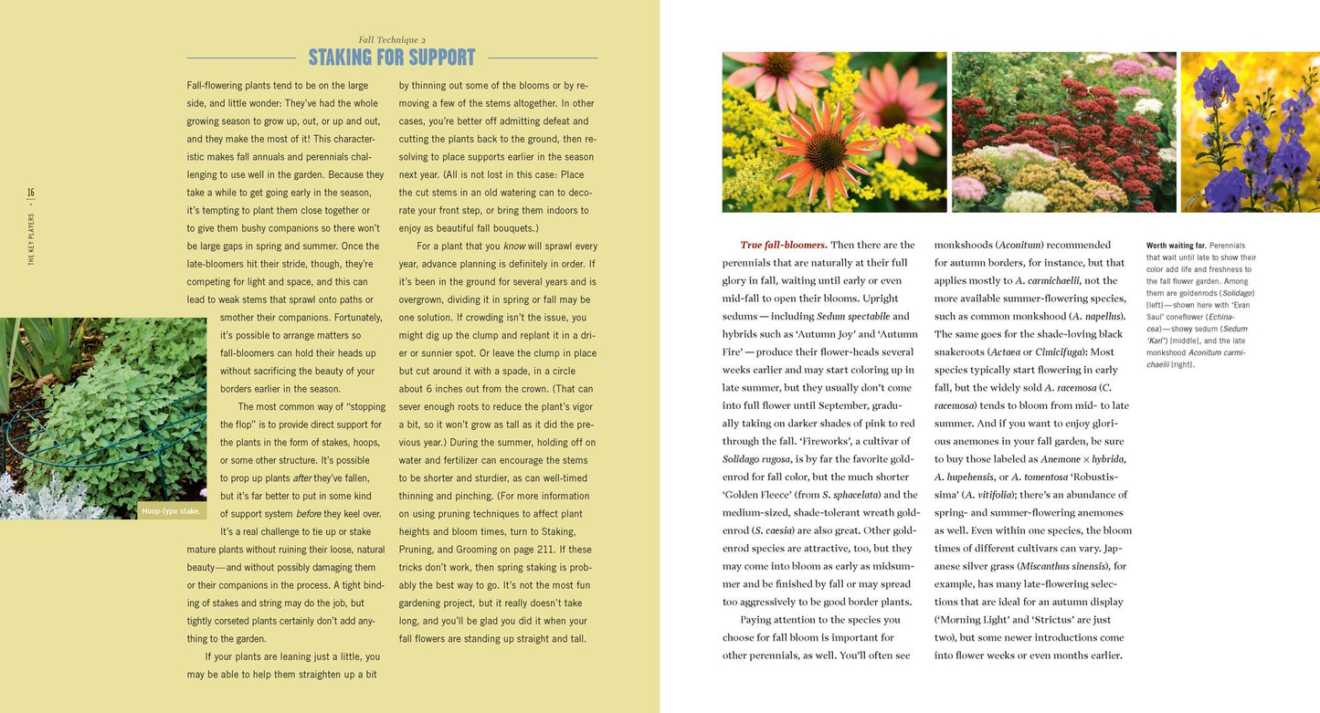 Fallscaping: Extending your Garden Season into Autumn