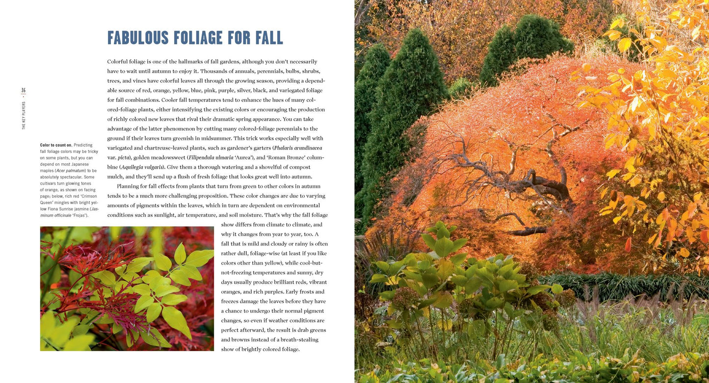 Fallscaping: Extending your Garden Season into Autumn
