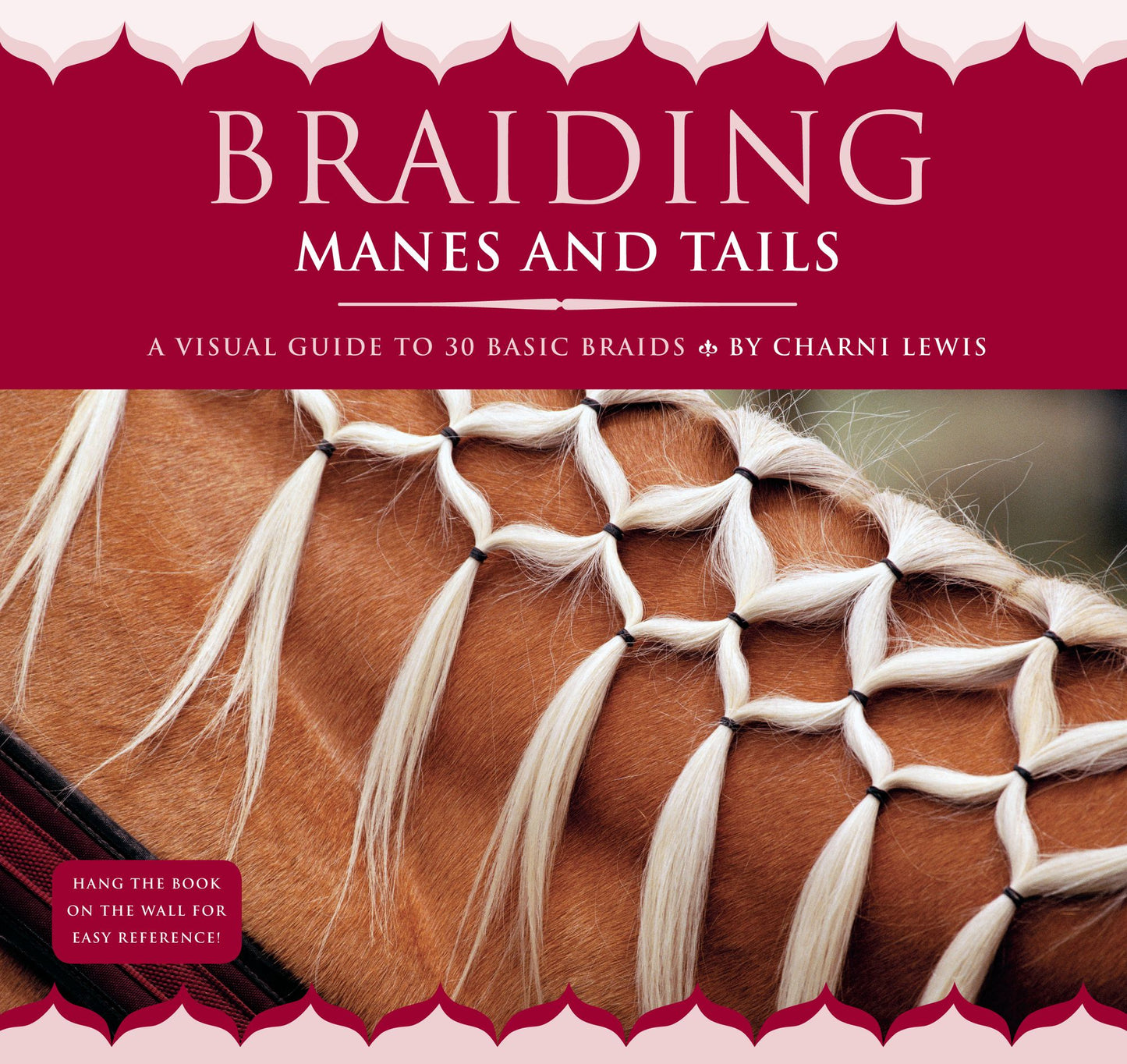 Braiding Manes & Tails: A Visual Guide to 30 Basic Braids